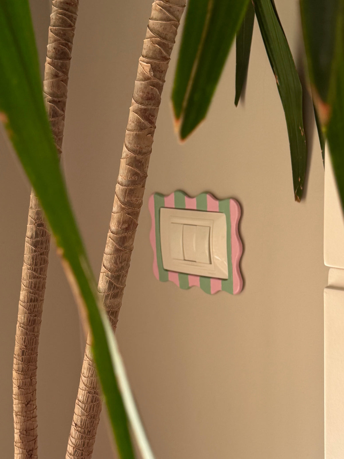 Light Switch Frame